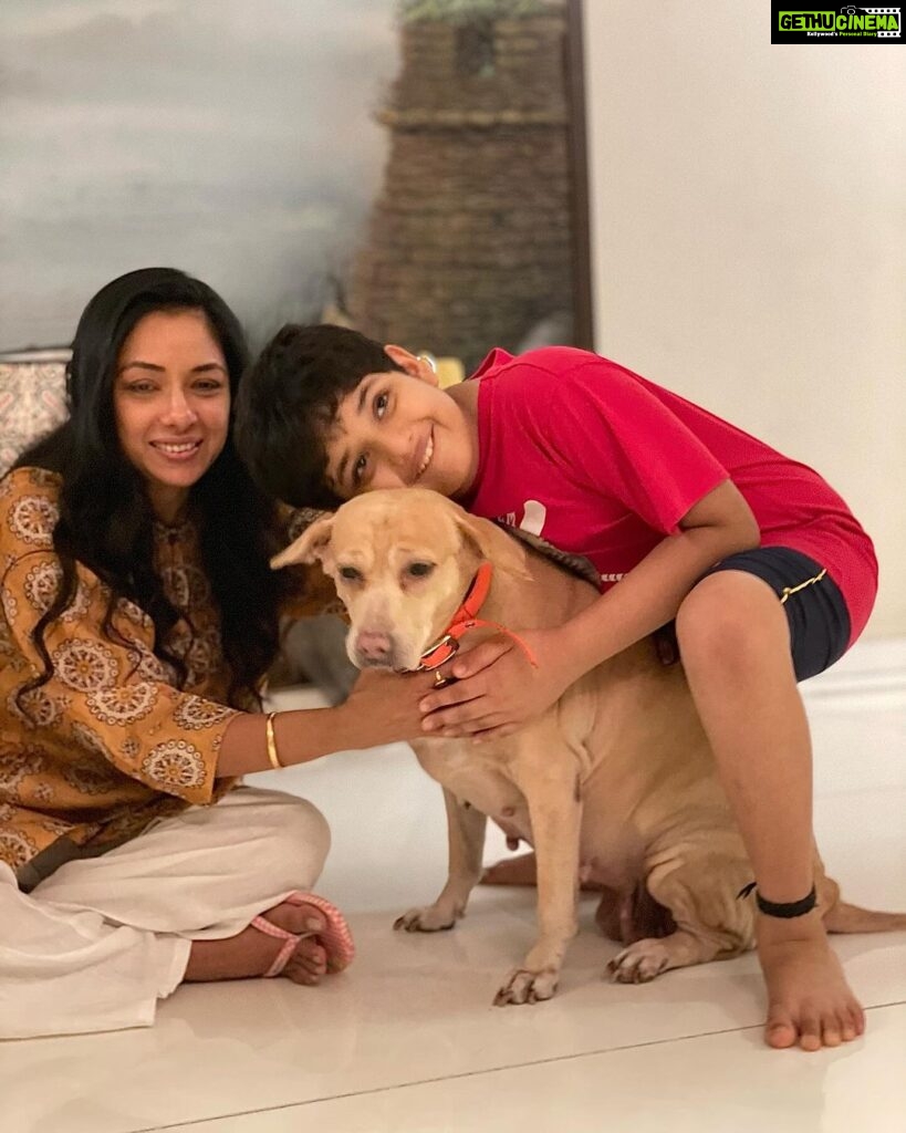 Rupali Ganguly Instagram - Panchami 💛🙏🏻 Maa Skandamata represents Motherhood Compassion and Heart full of love 🙏🏻❤️ Posting these pics with our precious child Radha Ganguly who blessed our lives with unconditional love and happiness for 11 years …. Our little Radhoo … run free over the rainbow bridge our baby girl …. Thank you for coming into our lives …. You will be missed forever … @vijayganguly @gangulirajani and Lakshmi thank for being the bestest family ever ❤️ #navratri #pet #radha #instagood #rupaliganguly #anupamaa #love #grateful #jaimatadi #jaimahakal