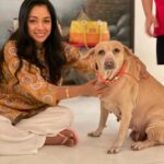 Rupali Ganguly Instagram – Panchami 💛🙏🏻
Maa Skandamata represents Motherhood Compassion and Heart full of love 🙏🏻❤️

Posting these pics with our precious child Radha Ganguly who blessed our lives with unconditional love and happiness for 11 years …. Our little Radhoo … run free over the rainbow bridge our baby girl …. Thank you for coming into our lives …. You will be missed forever …
@vijayganguly @gangulirajani and Lakshmi thank for being the bestest family ever ❤️

#navratri #pet #radha #instagood #rupaliganguly #anupamaa #love #grateful #jaimatadi #jaimahakal