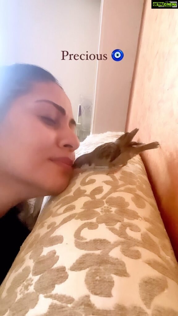Sadha Instagram - Please excuse the quality of this video but look at this little one! 💚🧿 #pikoo #sparrow #rescuerlife #unconditionallove Mumbai, Maharashtra