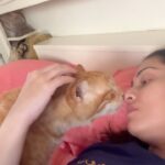 Sadha Instagram - Going through immense pain himself, he is more concerned for me, my tears, my pain of seeing him critically unwell. Where do you get such love? He is so full of love. For everyone around him. Please pray for Cherry’s recovery.. 🙏🙏🙏