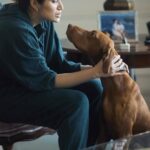 Sagarika Ghatge Instagram - The sheer love that melts my heart every single time. Logan, our ball of sunshine & unconditional love. You & us is a forever kind of thing ❤️ It’s just the most amazing thing to be loved by a dog, isn’t it? #sgk #logan