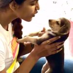 Sai Dhanshika Instagram – Dogs Do Give Unconditional Love 🤍🤍🤍

Can’t resist to post on this 
#worldanimalwelfareday and #dontshopadopt 🙏🏼