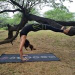 Sakshi Chaudhary Instagram - Happy yoga day guys !!!!! Sorry realized late 😅 By the way, this is all thanks to my guru @shubham_bhardwaj_yoga_teacher 🙏🙏🙏 Without him, It wouldn't have been possible! Thank you for your patience !! 🙏 Will be cleaning the postures more and attempting more difficult ones !!! 🙃 #instagram #love #live #life #explorepage #explore #instagood #fashion #lifestyle #follow  #like  #photography #india #trend #instadaily #music #style #reels #foryou #likes #photooftheday #beautiful #smile #art #nature #insta #trending