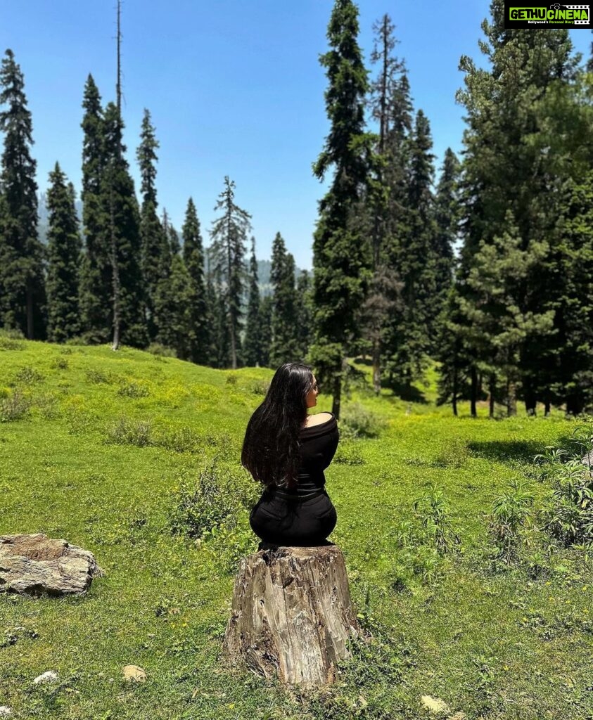 Samiksha Jaiswal Instagram - Wander where the wifi is weak!🌲 Kashmir