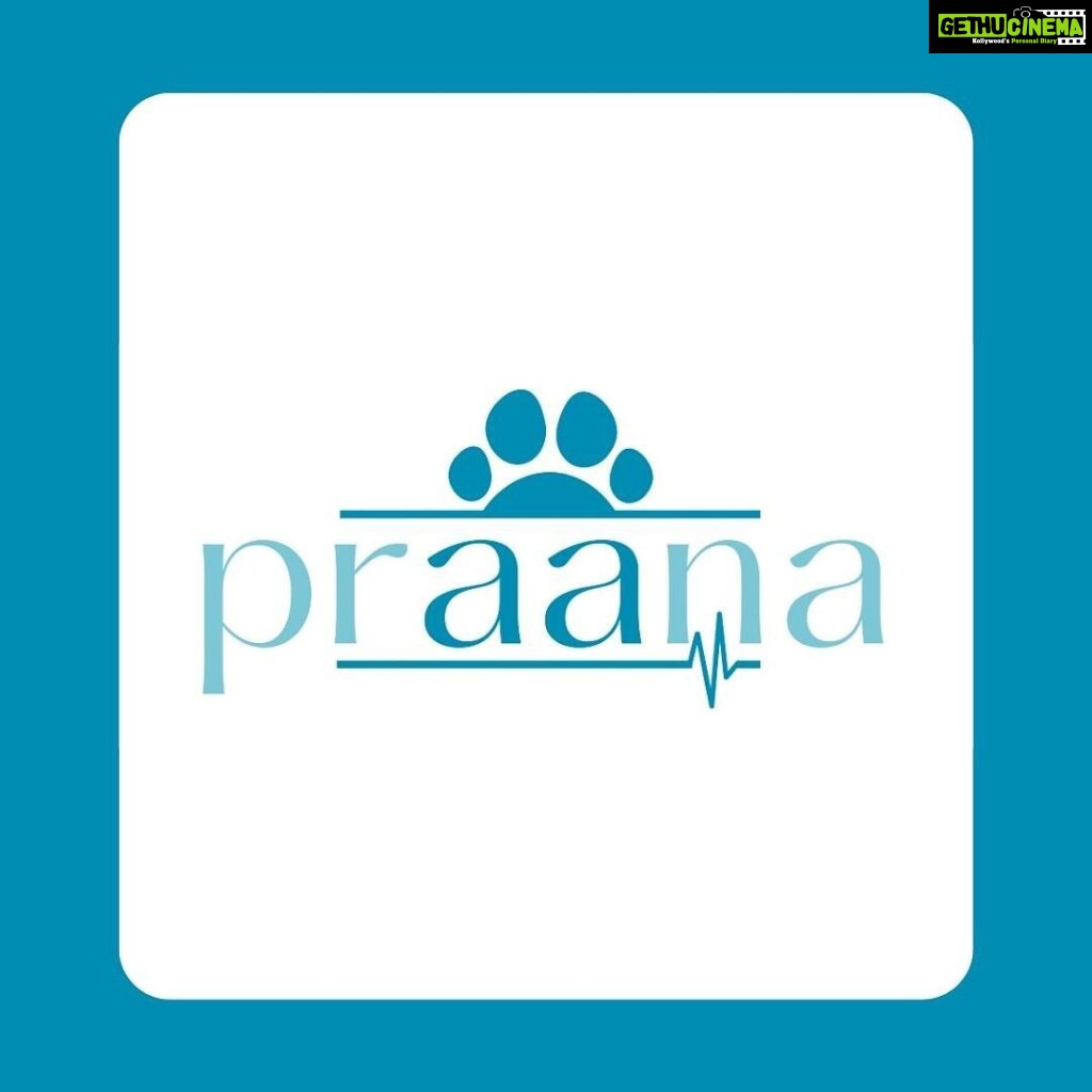Samyukta Hornad Instagram - #repost 🌸 @praana_animal We, The Praana Animal Foundation, are a non-profit organization dedicated to animal care and welfare, founded by actor and activist Samyukta Hornad. A dream she has harboured for as long as she can remember, Praana is a promise - a promise to continuously protect the lives of our animal friends. The concept of Praana is for ‘life’ – an existence, a journey. It is the ‘soul’ – the vital force that lives. It is also the ‘breath’ – the force that moves. It is the energy that drives life. In a vast, complex ecosystem, it is our ‘Praana’ that keeps us alive and rooted. The concept of Praana is fundamental, yet pivotal. It teaches us to love, It teaches us to protect, It teaches us to nurture. We are The Praana Animal Foundation. We believe every being is entitled to a life of dignity. . . . . #praana #praanaanimalfoundation #animalwelfare #animalprotection #animals #animallovers #wildlife #animalrehabilitation #education #animalrescue #animalcare #animalshelter #wildliferehabilitation#wildflifeofindia #indianwildlife #india