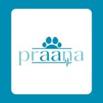 Samyukta Hornad Instagram - #repost 🌸 @praana_animal We, The Praana Animal Foundation, are a non-profit organization dedicated to animal care and welfare, founded by actor and activist Samyukta Hornad. A dream she has harboured for as long as she can remember, Praana is a promise - a promise to continuously protect the lives of our animal friends. The concept of Praana is for ‘life’ – an existence, a journey. It is the ‘soul’ – the vital force that lives. It is also the ‘breath’ – the force that moves. It is the energy that drives life. In a vast, complex ecosystem, it is our ‘Praana’ that keeps us alive and rooted. The concept of Praana is fundamental, yet pivotal. It teaches us to love, It teaches us to protect, It teaches us to nurture. We are The Praana Animal Foundation. We believe every being is entitled to a life of dignity. . . . . #praana #praanaanimalfoundation #animalwelfare #animalprotection #animals #animallovers #wildlife #animalrehabilitation #education #animalrescue #animalcare #animalshelter #wildliferehabilitation#wildflifeofindia #indianwildlife #india