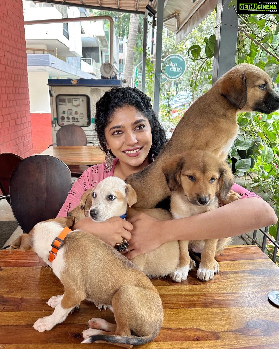 Samyukta Hornad Instagram - I’ve got 99 Problems but falling in love ain’t one, Love; what poets try to capture, what actors try to portray, what people yearn for, is really just a combination of Oxytocin, Adrenaline, Dopamine and Serotonin. It’s probably why they say, in life you can keep falling in love. Which is how I maintain my mental equilibrium (🤪) If you want to succeed in life… you have to find your own pass to your happy hormones. It’s also, cuddle weather in Bangalore and here is your way to get the perfect fix of Serotonin the love hormone also known as the cuddle hormone. Why you should adopt: If you buy a dog from a pet store, online seller or flea market, you’re almost certainly getting a dog from a puppy mill. Puppy mills are factory-style breeding facilities that put profit above the welfare of dogs. Animals from puppy mills are housed in shockingly poor conditions with improper medical care and are often very sick and behaviourally troubled as a result. Thank you @manjaricolaco for starting this campaign, for making me the ambassador for South Bangalore Cares. 🌸 You are awesome. Thanks @laxmikrishnaofficial for this lovely doggo jacket… it’s too cute. 🌸 #LoveHormone #Love #Cuddle #Bangalore #Adopt #Indie #Dog