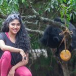 Samyukta Hornad Instagram - Team Wildlife SOS was delighted to play host to the supremely talented actor and avid animal lover, Samyukta Hornad. She visited the Bannerghatta Bear Rescue Centre today to celebrate the rescue anniversary of three of our beloved sloth bears - Gayathri, Gomathi, and Ganga. The three bears were rescued by our team as young cubs in 2006, from a small town in Karnataka. To celebrate their 16th rescueversary, the caregivers diligently prepared a fruit-laden feast along with ice popsicle treats. The happy bears devoured their special treats all in the blink of an eye! The festive day concluded as Samyukta interacted with our veterinary officers, caregivers, and other team members to learn more about our work. We are truly grateful to Samyukta Hornad for her constant support that enables us to save India's wildlife! #wildlifesos #wildlife #wildlifesosindia #bannerghatta #karnataka #rescueversary #slothbears #bears #samyukta #samyuktahornad #animals #wildlifeconservation #conservation #bearsofinstagram #rescuedanimals