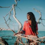 Samyukta Hornad Instagram - a Chimp off the olddd block… 🦧 Pic by another chimpion @vivianambrose Rescued by @meerasankar 🤍 🦀 #BeAChimp #DeadTrees #GetOnTopOfit #DoNotTryThisAtHome #Dead #Alive #Ocean #Sun #LoveStory #Monkey 🌸