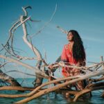 Samyukta Hornad Instagram - a Chimp off the olddd block… 🦧 Pic by another chimpion @vivianambrose Rescued by @meerasankar 🤍 🦀 #BeAChimp #DeadTrees #GetOnTopOfit #DoNotTryThisAtHome #Dead #Alive #Ocean #Sun #LoveStory #Monkey 🌸