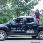 Samyukta Hornad Instagram – Team Wildlife SOS was delighted to play host to the supremely talented actor and avid animal lover, Samyukta Hornad. She visited the Bannerghatta Bear Rescue Centre today to celebrate the rescue anniversary of three of our beloved sloth bears – Gayathri, Gomathi, and Ganga.

The three bears were rescued by our team as young cubs in 2006, from a small town in Karnataka. To celebrate their 16th rescueversary, the caregivers diligently prepared a fruit-laden feast along with ice popsicle treats. The happy bears devoured their special treats all in the blink of an eye!

The festive day concluded as Samyukta interacted with our veterinary officers, caregivers, and other team members to learn more about our work. We are truly grateful to Samyukta Hornad for her constant support that enables us to save India’s wildlife!

#wildlifesos #wildlife #wildlifesosindia #bannerghatta #karnataka #rescueversary #slothbears #bears #samyukta #samyuktahornad #animals #wildlifeconservation #conservation #bearsofinstagram #rescuedanimals