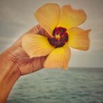 Samyukta Hornad Instagram - 🐸 Maldives, Indian Ocean