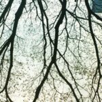 Samyukta Hornad Instagram - Seasons come and go… Leaves wither and fall… But I stand strong and tall, Because my roots are deep, I’m rooted to rise up. I welcome new light. #BeATree #EarthDay
