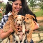 Samyukta Hornad Instagram - It isn't everyday that you meet a Hero who's heart beats for the simple things in life. Feeding a few thousand hungry animals during the lockdown and being so readily willing to be there to support Animal Welfare, @samyuktahornad ma'am has always been there, standing strong, supporting and cheering us on to do right for every life that chooses to come our way. From being there for events, to always looking out for anyone she can help, no matter where is is, she is the Truly the best Voice of Reason to uphold the flag of Animal Welfare in our city. A star who walks the talk and is guided by Her Gunda's Unconditional and Empowering Love,ensures that everything she does is A Blessing. With @charliesanimalrescuecentre, with the state animal welfare board, with @south_bengaluru_cares and now her Very Own @thepraanafoundation her Focus on Love and building a unfailingly strong community for every living being is unmatched. We are so grateful that despite her busy schedule and star status, she is always there for us and our animals, ensuring that Everyone hears the shout out to #ADOPT Loud and Clear. On her birthday today, drop us a message if you've been lucky enough to have experienced her love abd warmth, tell us how prana Foundation helped you save a life, tell us how and why Samyutka Hornad is your Favorite too!!! Feed an animal, be kind to each other and celebrate our Super star, today and always!!! Stay awesome and blessed always. May your birthday bring to you're the love, happiness and Strength that you are to all of us. Love you @samyuktahornad, Now and Always. #happybirthday #huttuhabbadashubhashayagalu #genuine #reallifeheroes #samyuktahornad #southbengalurucares #adoptingsaveslives #adoptionawareness #walkthetalk Bangalore, India