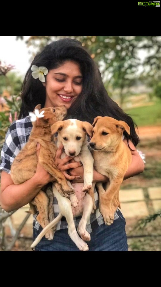Samyukta Hornad Instagram - It isn't everyday that you meet a Hero who's heart beats for the simple things in life. Feeding a few thousand hungry animals during the lockdown and being so readily willing to be there to support Animal Welfare, @samyuktahornad ma'am has always been there, standing strong, supporting and cheering us on to do right for every life that chooses to come our way. From being there for events, to always looking out for anyone she can help, no matter where is is, she is the Truly the best Voice of Reason to uphold the flag of Animal Welfare in our city. A star who walks the talk and is guided by Her Gunda's Unconditional and Empowering Love,ensures that everything she does is A Blessing. With @charliesanimalrescuecentre, with the state animal welfare board, with @south_bengaluru_cares and now her Very Own @thepraanafoundation her Focus on Love and building a unfailingly strong community for every living being is unmatched. We are so grateful that despite her busy schedule and star status, she is always there for us and our animals, ensuring that Everyone hears the shout out to #ADOPT Loud and Clear. On her birthday today, drop us a message if you've been lucky enough to have experienced her love abd warmth, tell us how prana Foundation helped you save a life, tell us how and why Samyutka Hornad is your Favorite too!!! Feed an animal, be kind to each other and celebrate our Super star, today and always!!! Stay awesome and blessed always. May your birthday bring to you're the love, happiness and Strength that you are to all of us. Love you @samyuktahornad, Now and Always. #happybirthday #huttuhabbadashubhashayagalu #genuine #reallifeheroes #samyuktahornad #southbengalurucares #adoptingsaveslives #adoptionawareness #walkthetalk Bangalore, India