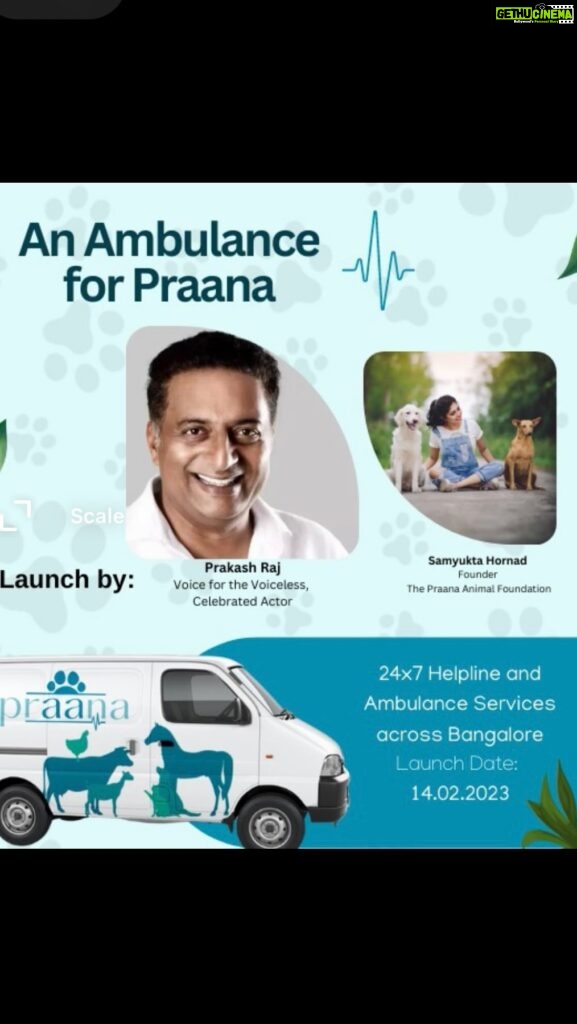 Samyukta Hornad Instagram - Launching 24x7 Helpline and Ambulance services across Bengaluru by Prakash Raj Sir 🌸 Currently, animals lack access to proper treatment and care due to the unavailability of ambulances and healthcare services. On an average, a shelter receives about 50 trauma calls everyday, of which only a few receive the required attention. This leaves many animal trauma cases unattended. We, at the Praana Animal Foundation, @thepraanafoundation believe in an inclusive ecosystem where animals are protected, loved, and cared for. Follow along as we strive to make a new beginning towards a better tomorrow for animals! Prakash Raj sir’s love for animals, nature and life is evident in everything that he does. My conversations with him, about his views on the importance of the environment, has deepened my own understanding, love and relationship with nature and animals. Which is why there is no better person to launch Praana’s ambulance service for animals across bangalore. Thank you for being such an inspiration, sir. @joinprakashraj Also, 14th Feb marks a year since my Ajji passed on… so, as a tribute to her I’m launching the ambulance service and 24x7 helpline number on this day. The day the world celebrates love; I celebrate her and my other greatest love - Animals. Thanks for all the support 🤍 And big bigggg shoutout to @aniruddharavindrablr, the spine behind @thepraanafoundation 🤍 #Praana #praanaanimalfoundation #animalcare #ambulance #rescue #helpline #strays #animals #service