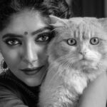 Samyukta Hornad Instagram - meowwwww 😈 @pragalbhvashishth #desicatwoman #Cat #Mytype
