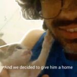 Sanaya Irani Instagram - ‘For Gus Irani Sehgal’ ❤️ #gusiranisehgal #lifestyle #cat #loveanimals