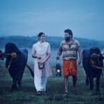 Sapthami Gowda Instagram - When I was first approached for this project I had no idea about how this character would look on screen or even the name of the movie. But, just the excitement of getting to work with the super talented Rishab sir and his team made me want to be a part of the project with all of my heart '#Kantara' After the first script reading, during my workshop stages is when I knew that Leela will remain forever special to me and I'm blessed to get the chance to put life into the character. I’m so thankful to you for giving me this opportunity and choosing me to play Leela. Hope I've filled life to Leela the way that you had imagined. Thank you for giving me such a beautiful song #SingaraSiriye in my career. Overwhelmed with the love that people are showering towards ಶಿವ - ಲೀಲ. Thank you for being Shiva to Leela. Wishing you more Blockbusters @rishabshetty77 sir! May this film be the starting of more humungous successes. PC - @vijeth_kundapura