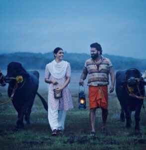 Sapthami Gowda Instagram - When I was first approached for this project I had no idea about how this character would look on screen or even the name of the movie. But, just the excitement of getting to work with the super talented Rishab sir and his team made me want to be a part of the project with all of my heart '#Kantara' After the first script reading, during my workshop stages is when I knew that Leela will remain forever special to me and I'm blessed to get the chance to put life into the character. I’m so thankful to you for giving me this opportunity and choosing me to play Leela. Hope I've filled life to Leela the way that you had imagined. Thank you for giving me such a beautiful song #SingaraSiriye in my career. Overwhelmed with the love that people are showering towards ಶಿವ - ಲೀಲ. Thank you for being Shiva to Leela. Wishing you more Blockbusters @rishabshetty77 sir! May this film be the starting of more humungous successes. PC - @vijeth_kundapura
