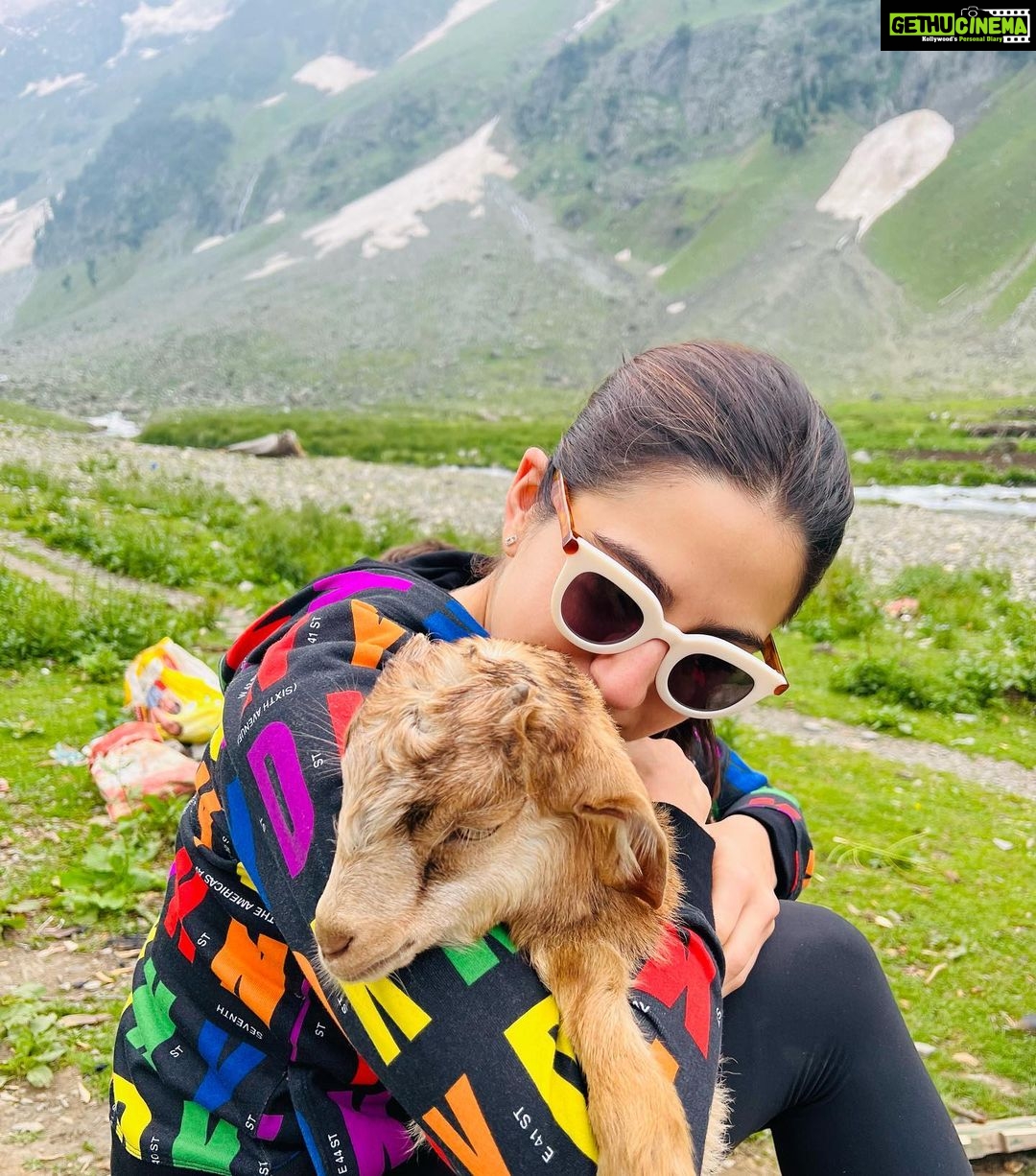 Sara Ali Khan Instagram - When the soul is content and the hamstrings are sore ☮️💟🦵 Bakri se phir bacchon se ki dosti 🐐 And then we had the chai I adore ☕️ Thajwas Glacier Sonamarg