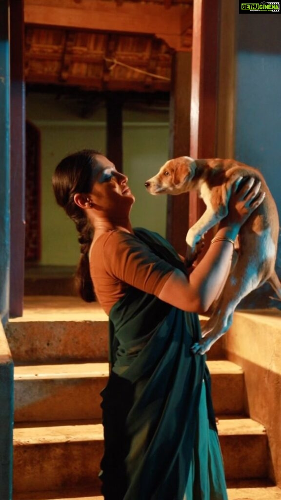 Sastika Rajendran Instagram - If you ever find me missing on sets, ask if there is a dog around! You will find me there 🙈 #dogsofinstagram #dog #truelove #puppylove #puppy Karaikudi