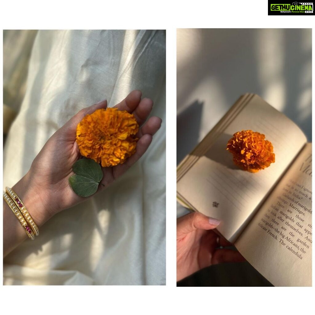 Sayli Patil Instagram - सोनं घ्या, सोन्या सारखे रहा ✨☺️ . दसऱ्याच्या खुप शुभेच्छा :)