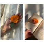 Sayli Patil Instagram - सोनं घ्या, सोन्या सारखे रहा ✨☺️ . दसऱ्याच्या खुप शुभेच्छा :)