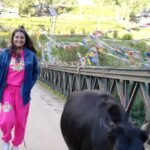 Sharanya Turadi Instagram – Whilst everyone’s chasing sunsets, here’s me chasing a cow on a bridge at the Indo-Tibetan border 😆😆🐒

#PrimeReels #travel #himachal Rakcham Village