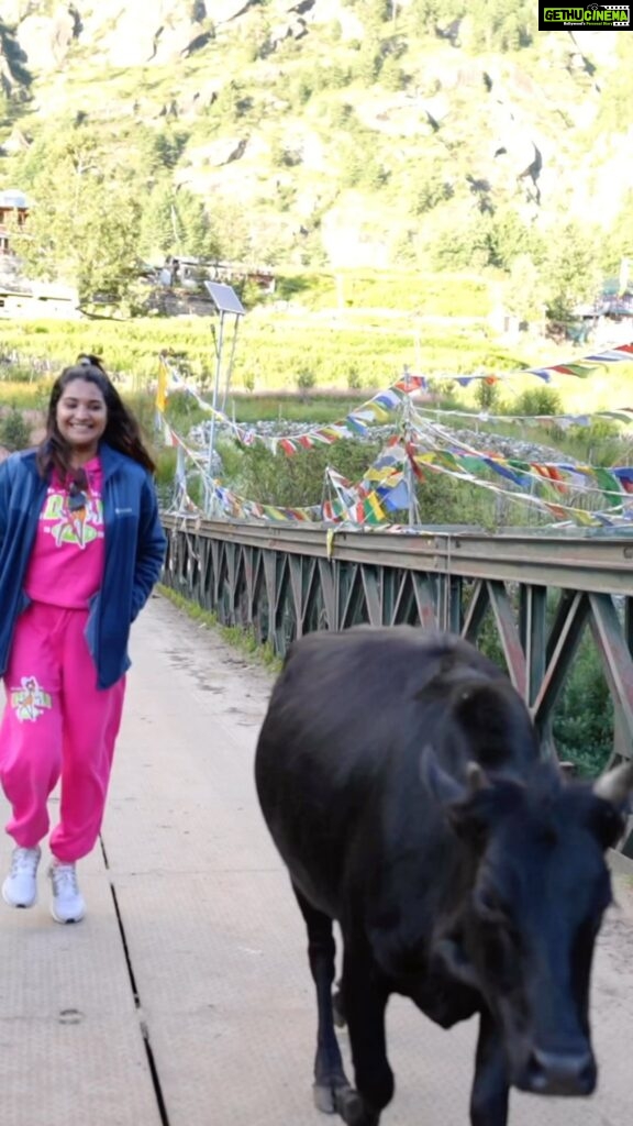 Sharanya Turadi Instagram - Whilst everyone’s chasing sunsets, here’s me chasing a cow on a bridge at the Indo-Tibetan border 😆😆🐒 #PrimeReels #travel #himachal Rakcham Village