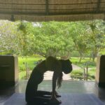 Sharmiela Mandre Instagram - Life in recent times #photodump @soukyaholistichealthcentre This is an appreciation post but just to let you’ll know that at the end of it all the only thing that matters is if your doing well from within . Highly appreciative of the things I learnt at @soukya . It’s a holistic health destination to restore your body’s natural balance of mind, body and spirit. It is an effective diet plan combined with pioneering holistic treatments which enable people to regain their vitality, based on the idea of giving your digestive system a break while other parts of your body heal. Many come just to press pause ⏸ came out with loads of gratitude 🙏 Soukya International Holistic Health Centre