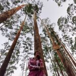 Sheela Rajkumar Instagram - Beauty of the forest 😍 . . . . . 📸:@artsaravanan #sheela #picoftheday #naturehealsthesoul #naturelove #greenvibes #forestphotography #besmile😊 #beü #alliswell #donthurtanyone #lovemyself #instagram #livethewayyoulove Dolphin Nose , Kodaikanal