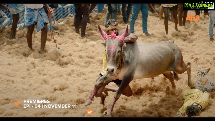 Sheela Rajkumar Instagram - Pettaikaali erangittan..🔥Inimey vedikkaiya paarunga!🥳 #PettaikaaliOnAHA - Episode 4 | Premieres Nov 11th #Vetri_Maaran @la.rajkumar @r.velraj.isc @musicsanthosh @kalaiyarasananbu @sheela14_official @actorkishore #Merkuthodarchimalai Antony @balahasanr @thendr_zephyr @jigowtham @monisha_moshika @editorsudharsan @ramuthangaraj @velaramamoorthy
