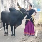 Sheela Rajkumar Instagram - பேட்டைக்காளி விரைவில் 😊 . . . . . . #sheelarajkumar #actress #picoftheday #pettaikaali #thangapulla😍❤️😍 #webseriestamil #comingsoon #ahatamil #donthurtanyone #besmile😊 #instagramfamily♥️♥️♥️ #nevergiveup💪 #staystrong