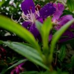 Sheela Rajkumar Instagram – Look deep into nature 😍
Remix: @ashwinbhaskar_
.
.
.
.
.
🎥: @ajith_aacharya 
  @arunnath.pnv
 

#sheelarajkumar #shootingdays📸 #wagamon #waterfalls #naturehealsthesoul #besmile😊 #lovemyself❤ #instagramfamily♥️♥️♥️ #instagramreels❤️🌸 #alliswell #goodvibesonly #happysoul❤️ #naturelover Vagamon- The Scotland of Asia