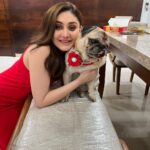 Shefali Jariwala Instagram - To my brother, my protector, and my friend, Happy Raksha Bandhan! May our bond be blessed with happiness and prosperity❤️ @simba_mommys_boy @anindatherockstar @farukh.shaikh @rambabu.babu.9659 #rakshabandhan #rakhi #blessed #positivity #love #instagood