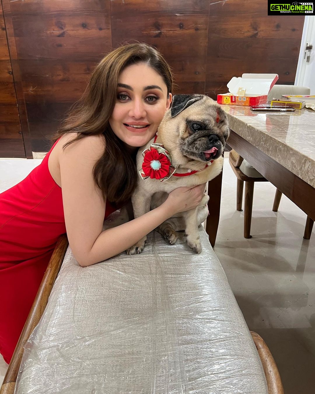 Shefali Jariwala Instagram - To my brother, my protector, and my friend, Happy Raksha Bandhan! May our bond be blessed with happiness and prosperity❤️ @simba_mommys_boy @anindatherockstar @farukh.shaikh @rambabu.babu.9659 #rakshabandhan #rakhi #blessed #positivity #love #instagood