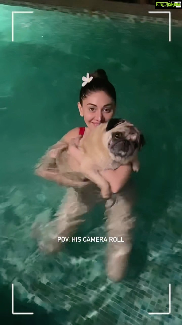 Shefali Jariwala Instagram - Dedicated to @simba_mommys_boy … Love you like crazy ❤️❤️❤️❤️❤️ #internatinaldogday #puglove #puglife #love #dogsofinstagram #reelsinstagram #travelgram #funtimes #goodtimes #pugmom