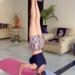 Sherlyn Chopra Instagram - योग एक अनुशासन है। यह चित्त और वृत्तियों का निरोध है। #सिरासना 🔥🔥🔥