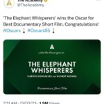 Sherlyn Chopra Instagram – TWO OSCARS FOR INDIA!!! 
#proudindian #rrr #theelephantwhisperers 🇮🇳🇮🇳🇮🇳