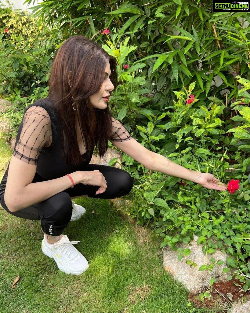 Sherlyn Chopra Instagram - How could one possibly get bored in a world as beautiful as this!!! #farmhouse #garden ❤️