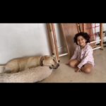 Shikha Singh Instagram - Happy Rakshabandhan!! ❤️🧿 Purest form of love ❤️ #rakhi #rakshabandhan #brothers #sisterlove #brother #brothersisterlove #siblings #bond #bonding #babiesofinstagram #dogsofinstagram #dogs #labrador #girl #girls #babygirl #baby #love #festival #india #indian #indianfestival #gratitude #blessed #thankyou #pure #purelove