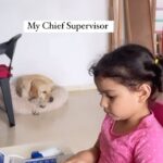 Shikha Singh Instagram - Jab bhi koi puchta hai - When are u getting back to work ??? I am always working bro! House scenes be like : 🤩 #kids #babiesofinstagram #babygirl #baby #dogstagram #dogsofinstagram #labrador #mykids #workfromhome #workfromanywhere #home #us #instagram #instagood #insta #love #live #laugh #simple #grateful #blessed #thankyou