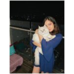 Shraddha Sharma Instagram - 🐈