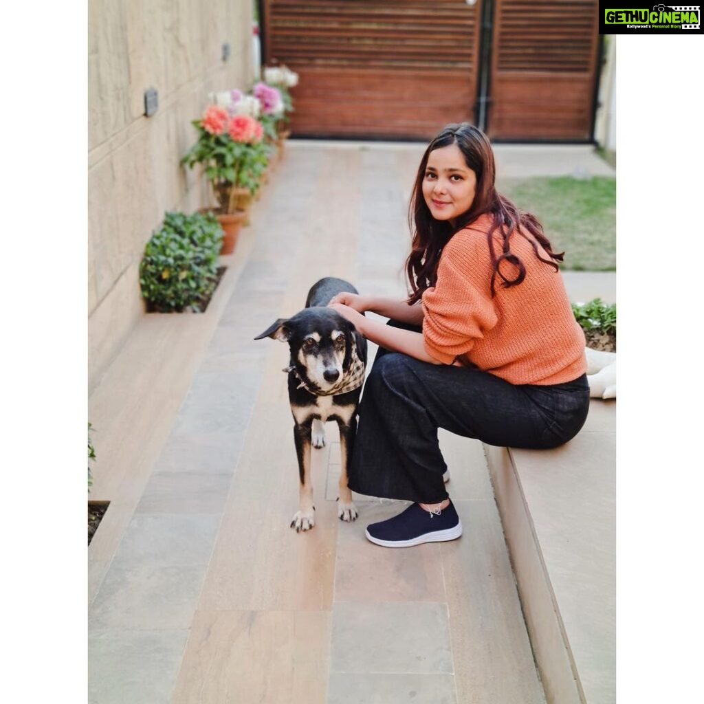 Shraddha Sharma Instagram - I am so tired of dogs asking to take pictures with me🙎🏻‍♀️