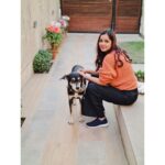 Shraddha Sharma Instagram – I am so tired of dogs asking to take pictures with me🙎🏻‍♀️
