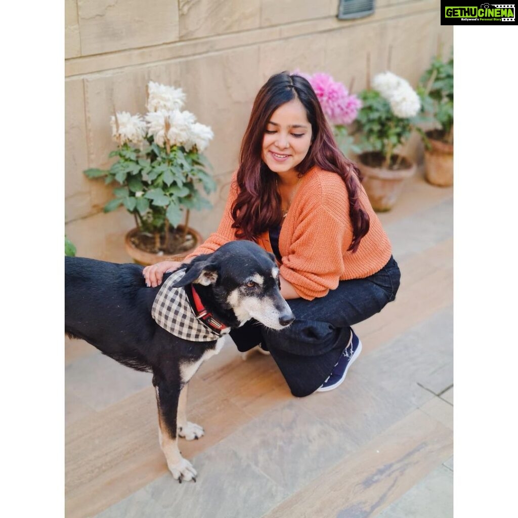 Shraddha Sharma Instagram - I am so tired of dogs asking to take pictures with me🙎🏻‍♀️