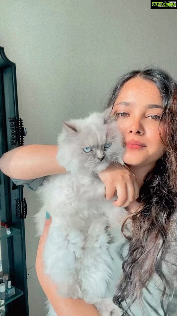 Shraddha Sharma Instagram - Just wanted to show what having a cat around usually looks like. Usually. @lunamonkey