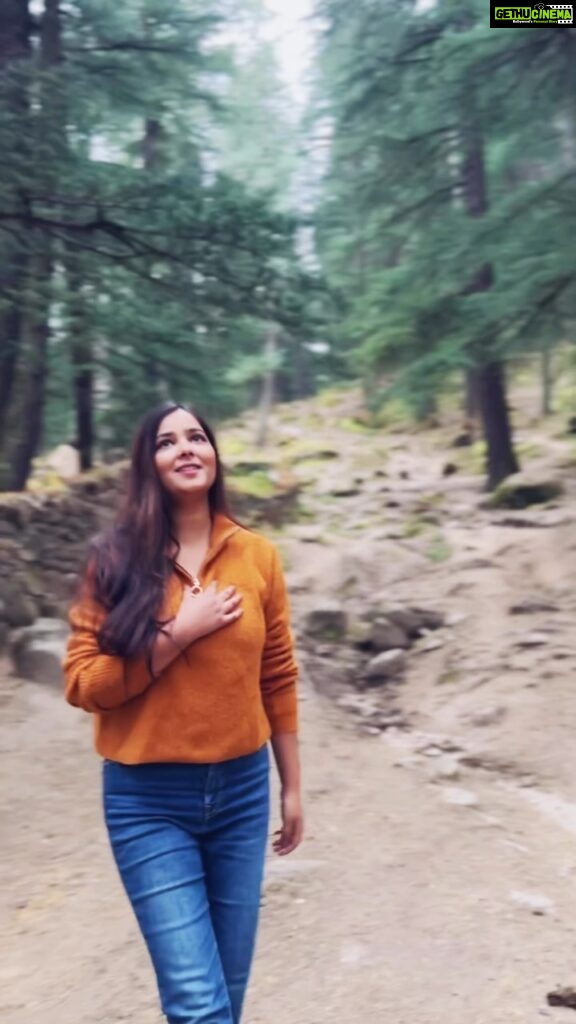 Shraddha Sharma Instagram - Pulga you’re so beautiful! This is Fairy Forest. A must go🧚‍♂️🧚‍♂️🧚🧚‍♀️ @noshrain thank you for always bringing out the best in me my friend❤️ Thanks for creating this beautiful track for me. Hope people feel all the love listening to it. #reels #reimagined #shadyblush #noshrain #shreyaghoshal #instagood Fairy Forest, Pulga