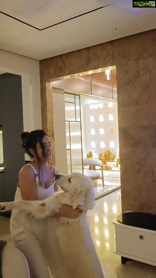 Shritama Mukherjee Instagram - Celebrating #InternationalDogDay with Stellu baby ❤️ She seems to be enjoying @ap.dhillxn too! 😄